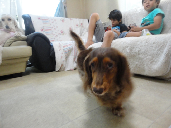 DSC05192.jpg