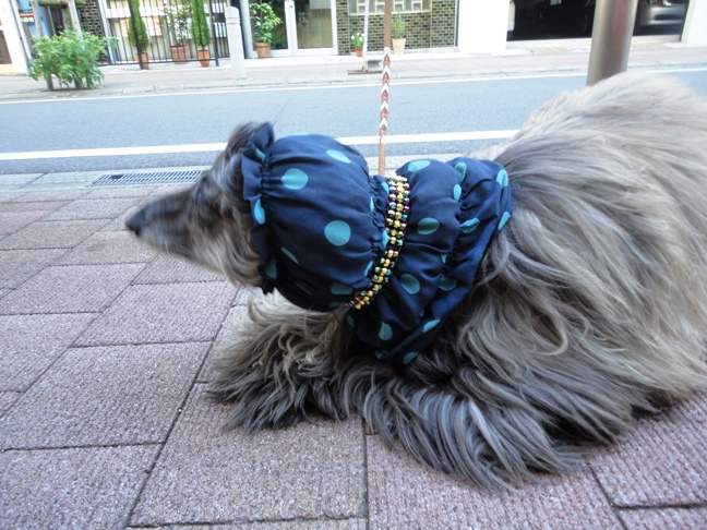 DSC05209.jpg