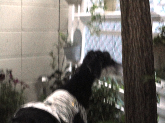 DSC05692.jpg