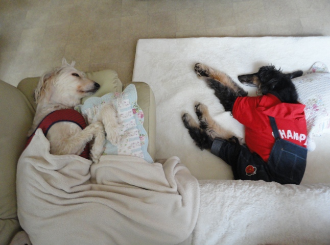 DSC05890.jpg