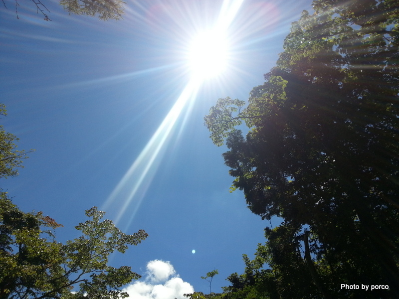 20120819_115347.jpg
