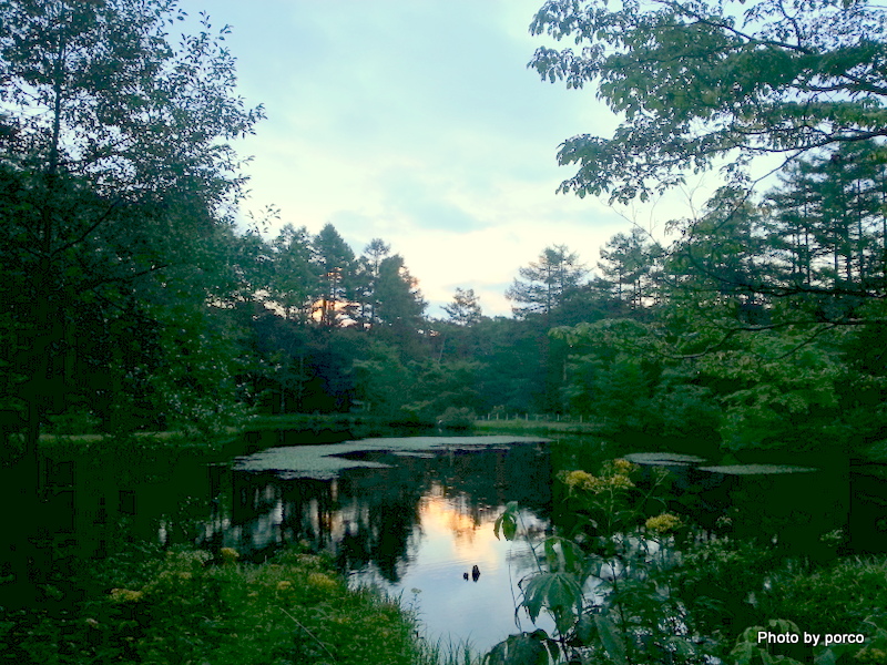 20120901_180900.jpg