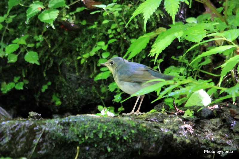 IMG_7399.jpg