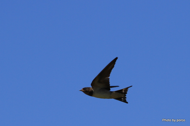 IMG_8026.jpg