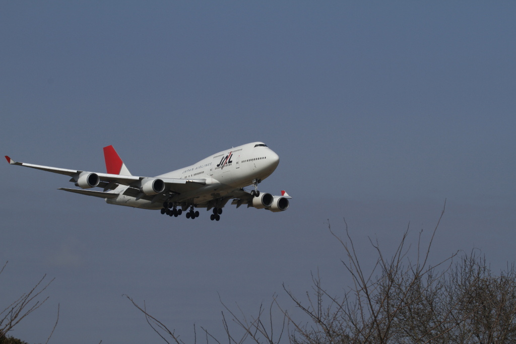 _MG_6336.jpg