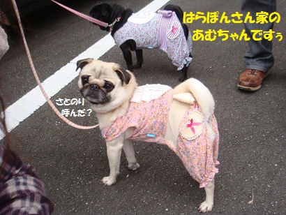DSC02202 - コピー