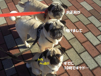 2013010109420000.jpg