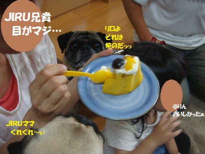 DSC00432.jpg