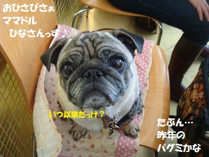 DSC00536.jpg