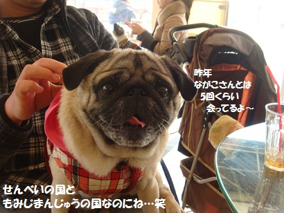 DSC00555.jpg