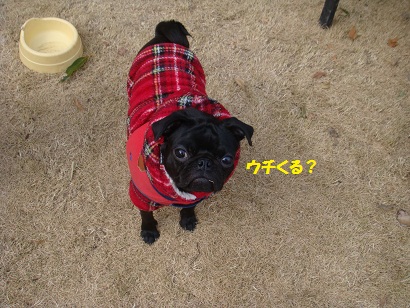 DSC00751.jpg