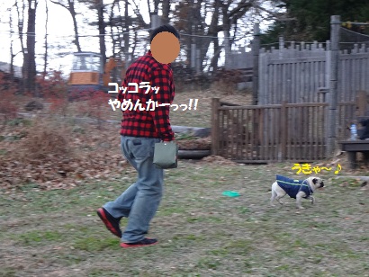 DSC00820.jpg