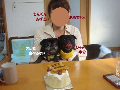 DSC00840.jpg