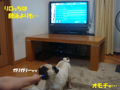 DSC01108.jpg