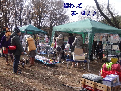 DSC01405.jpg