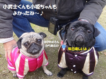 DSC01449_20121229183648.jpg