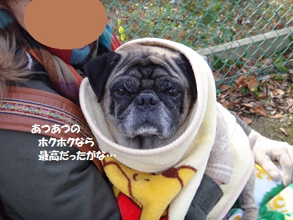 DSC01519.jpg
