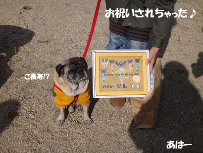 DSC01538.jpg