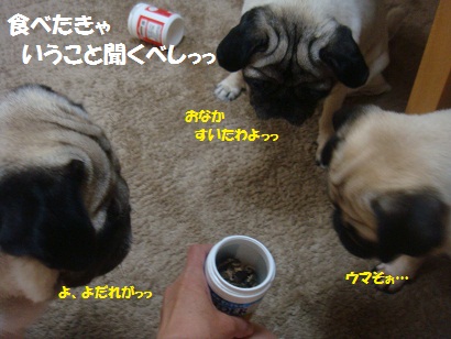 DSC01686.jpg