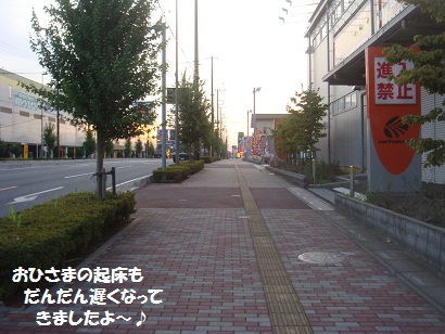 DSC01874.jpg