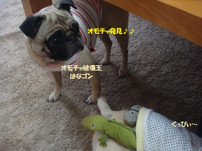 DSC02049.jpg