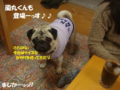 DSC04023_20120930194830.jpg