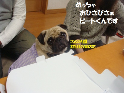 DSC04052.jpg