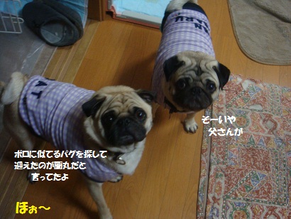 DSC04153.jpg