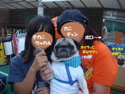 DSC04307.jpg