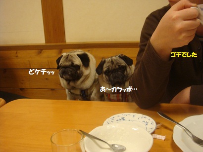 DSC04819.jpg