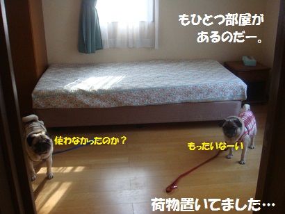 DSC04878_20121017132406.jpg