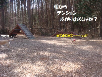 DSC04880.jpg