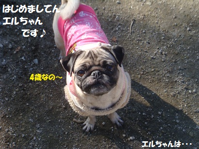 DSC05137.jpg