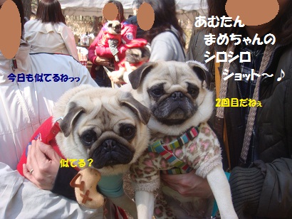 DSC05138.jpg