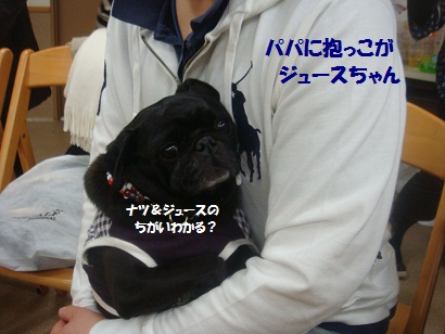 DSC05280.jpg