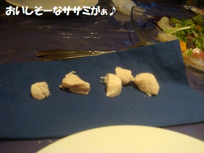 DSC05329_20121023161825.jpg