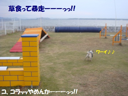 DSC05344.jpg