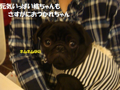DSC05389.jpg