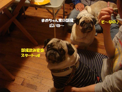 DSC05876.jpg