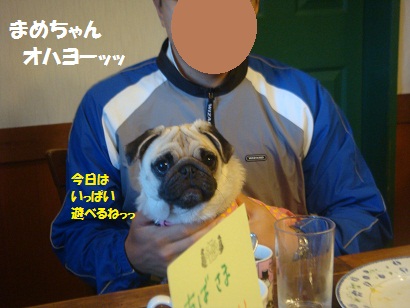 DSC05947_20121201175307.jpg