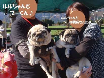 DSC05983.jpg