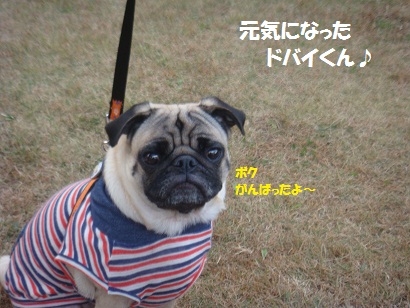 DSC06424.jpg