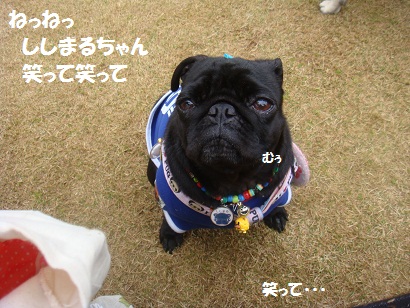 DSC06448_20121029111938.jpg