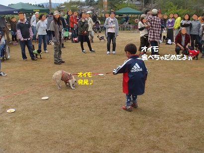 DSC06564.jpg