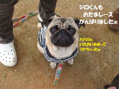 DSC06821.jpg