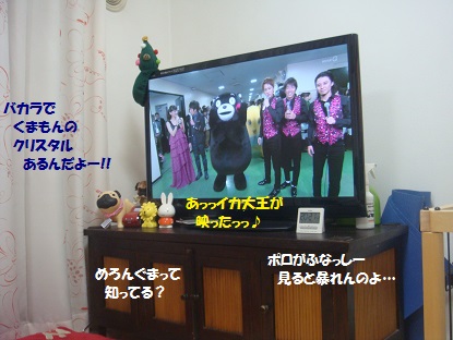 DSC06880.jpg