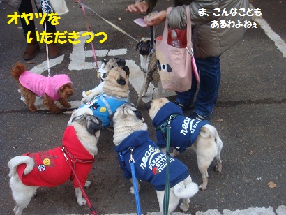 DSC06980_20121230141414.jpg