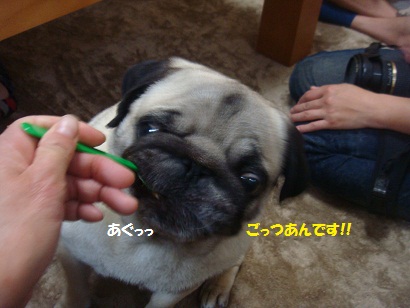 DSC07302.jpg