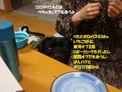 DSC07433_20121106051154.jpg