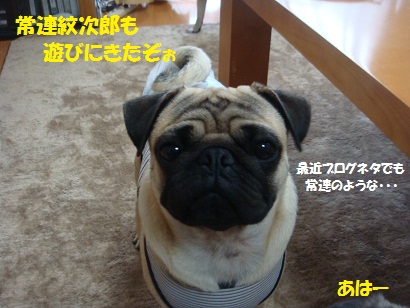 DSC07570.jpg